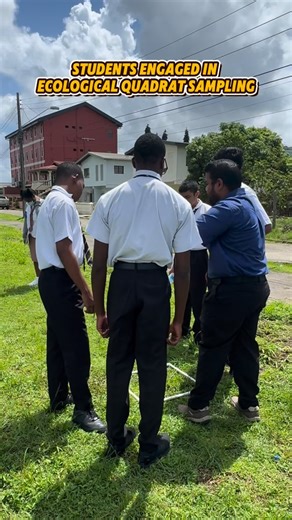 UpperLevelEducationalInstitute on Instagram: "Students engaged in Ecological Quadrat Sampling Form 4 Biology students engaged in Ecological Quadrat sampling to determine the abundance and density of grass species found in the savannah #ScienceInAction #Form4Biology #QuadratSampling #EcologicalSampling #UpperLevelTT #BiologyStudents #SavannahEcology #CSECBiology #FieldworkBiology #EducationInTrinidad"