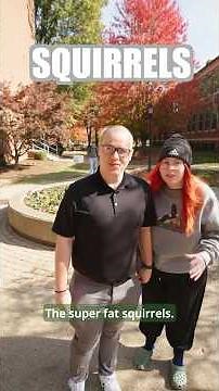 What's One Thing About Marshall That Pleasantly Surprised You? #college #marshalluniversity