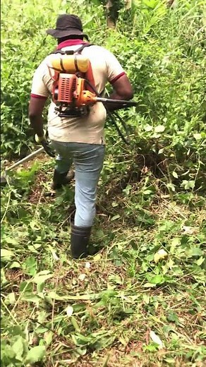 Using a Grass Cutter for Perfect Lawn Trim 🌿⚙️
