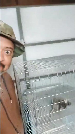 Building stackable rabbit cages