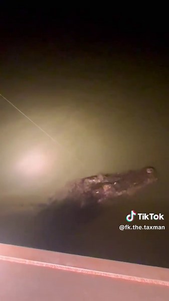 Wait For It… Yeah that’s scary, the true Taxman! 🐊 🎥IG:@lauren.fisher._ 🇦🇺 fuckthetaxman.com #fishing #croc #crocadile