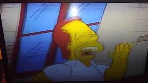 Homer Simpson girls just wanna have fun