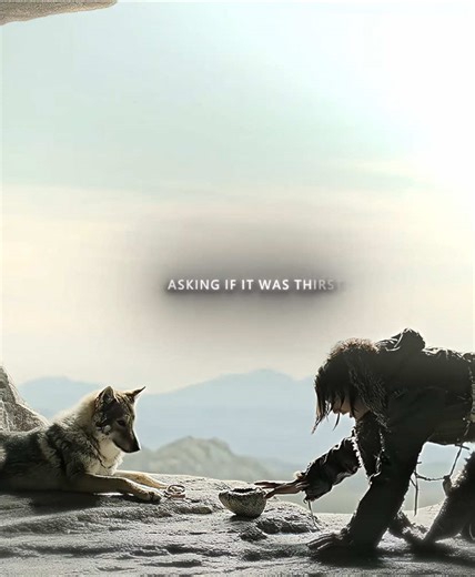 2000 years ago, humans first became good friends with wolves 🥰❤️#alpha2018 #wolf #movie #dog #usa