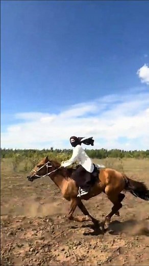 Horse Perfect Jump, Powerful Run