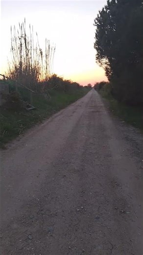 Flyers As Dreamweaver