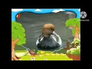 Bim And Bam l Duck 🦆 Part 2