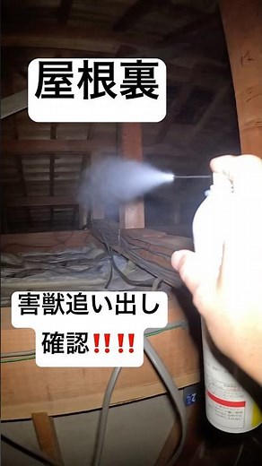 害獣駆除予防‼️#害獣#イタチ#アライグマ#ハクビシン#ネズミ#株式会社マルックス#屋根裏#家#兵庫県三田市
