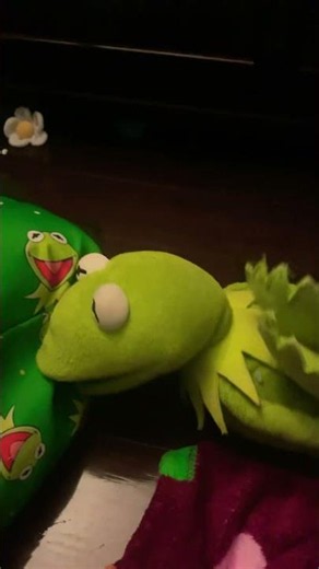 #edit Kermit’s Spanish dancing #frog #español