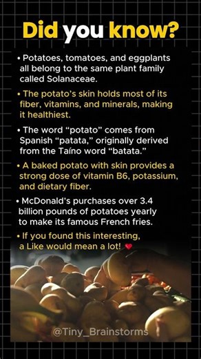 Potato Facts That Will Change How You Eat Them Forever!