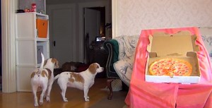 Maymo And Penny Vs Talking Pizza!