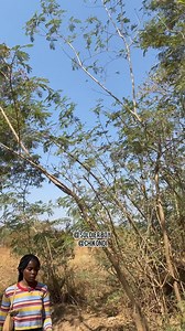 Graduation boy😂😂 | Soldier boy