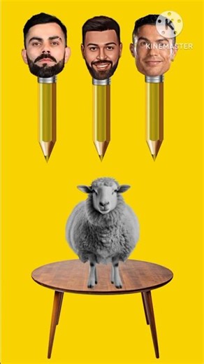 What is the color of a sheep? Sheep 🐑 Color Challenge Funny #shorts