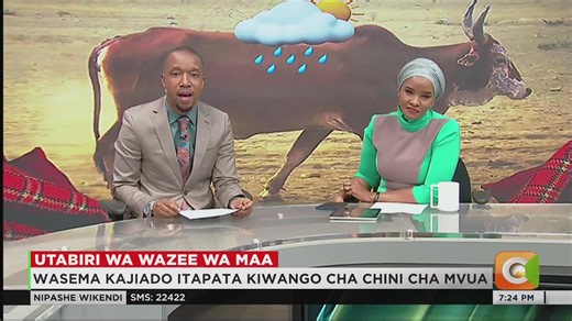 Utabiri wa wazee wa Maa Wazee wa Maa watabiri msimu wa mvua za vuli Wasema Kajiado itapata kiwango cha chini cha mvua Wazee hao walibashiri kwa kusoma matumbo ya mbuzi Idara ya utabiri wa hali ya anga imekubaliana na wazee #NipasheWikendi | Citizen TV Kenya