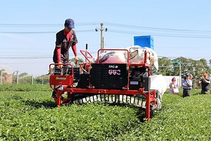 何必把茶葉市場拱手讓人？林和春翻轉思維 機械茶農成神農 | 上下游新聞
