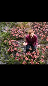 4.8M views · 120K reactions | Beautiful place #movies #movienight #movieclips | sasai vlogs | Facebook