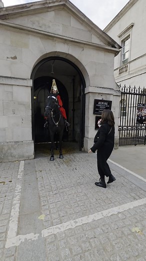 She Walked in the Box… Then Realised & Said ‘Sorry, Sorry!’ 😂💂‍♂️ #HorseGuardsLondon #KingsGuard #LondonTouristMoments #londonuktravelwalk #RespectTheGuard | London Uk Travel Walk