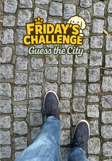 Friday the Labradoodle Challenge 12JAN. Guess the City! Enjoy a wholesome dog reveal with Friday the Labradoodle! This video begins with a simple walk and slowly reveals Friday’s fluffy face and happy energy. Perfect for fans of cute dog videos, Labradoodles, POV walks, and feel-good pet content. Watch, smile, and follow for more adorable moments with Friday! #dog #funny #fyp #challenge #travel