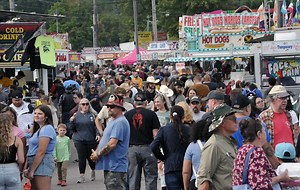 A number of people attended the Wayne County Fair. Here's a day by day breakdown.