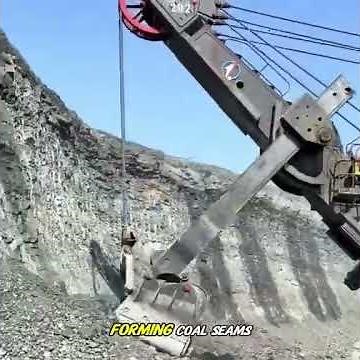 How is Coal formed?😱 #flyingravana #science #viral #subscribe