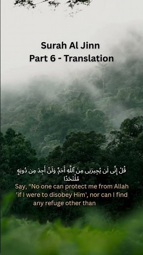 Surah Al Jinn Part 6 - Translation
