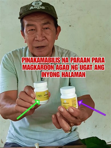 34K views · 134 reactions | Rooting Powder: Mabilis na Sekreto sa Pagpapaugat Ang rooting powder ay ginagamit ng maraming hardinero para mapabilis ang pagtubo ng ugat ng cuttings. ✅ Tumutulong sa mabilis na root development ✅ Pinapataas ang chance na mabuhay ang bagong tanim ✅ Praktikal at madali gamitin—i-dip lang ang cutting bago itanim | Kabayang Manny | Facebook