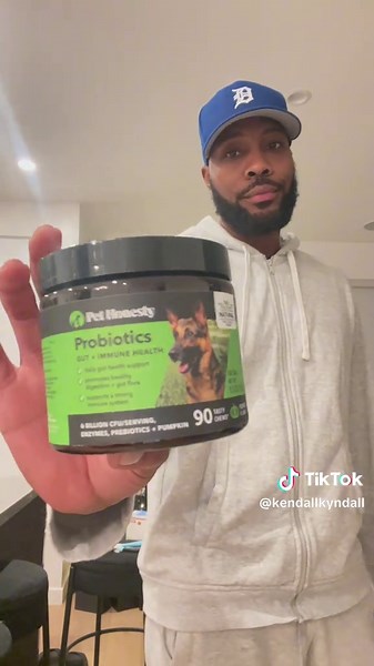 Owning an American Bully: Insights and Experiences