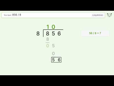 Long Division Problem 856/8: Step-by-Step Video Solution