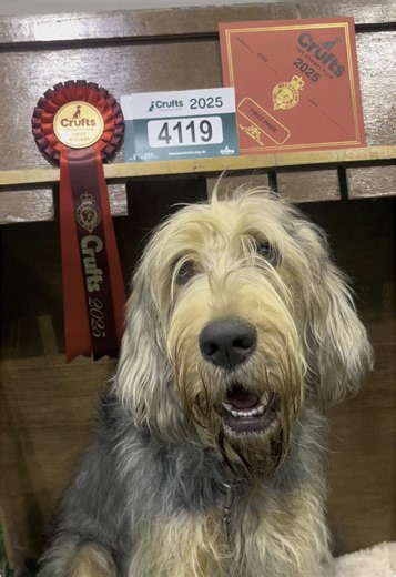 Crufts 2025: A Fun Day for Rare Breeds and Puppies