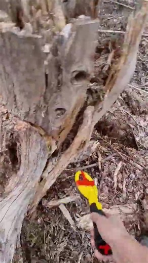 Relaxing Beach Video for Ultimate Stress Relief