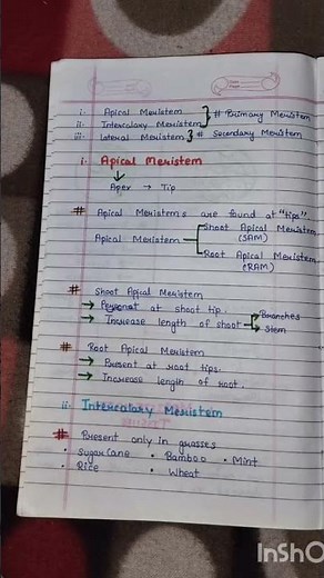 Class 9 ch-2 Tissues Notes #notes # class 9 ch-2 Tissues
