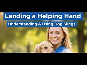 Lending a Helping Hand Understanding and Using Dog Slings