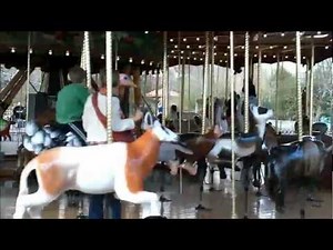The New Carousel At The National Zoo ( 2 ) - Washington DC - 2/15/2013.