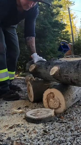 Husqvarna T435 after 2 years #firewood #chainsaw #husqvarna #chainsawaddict