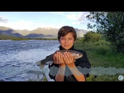 S8 E32 Spring Fishing Unlocked - Mac Brown's Tips for Targeting Elementary and Graduate School Fish