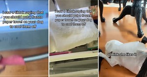 One Pet Owner Shows A Way To Cool Down Your Dog In The Heat, But Others Strongly Disagree