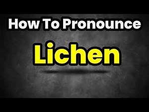 How To Pronounce Lichen? (CORRECTLY) Meaning & Pronunciation