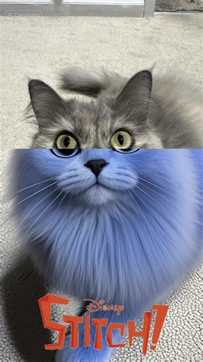 Asma Ahmad on TikTok