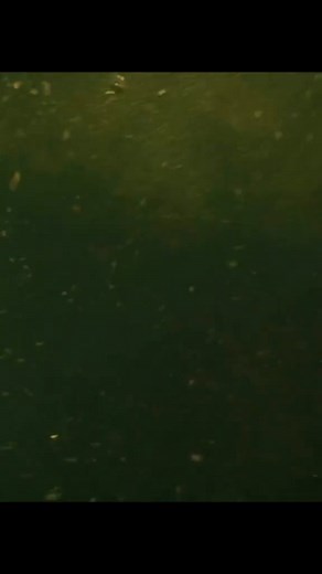 12K views · 150 reactions | Full Movie:https://viptube.site/Ffbqr . Movie HD:https://viptube.site/WnEsR . Don't Miss:https://viptube.site/DKGNV . Crazy Movie:https://viptube.site/VlUsL . Trending:https://viptube.site/JjuPS . #Movies #Hollywood #films #TikTokMovies #ReelMovies #CinemaLovers #fypシ #fypシ゚viralシfypシ゚ #movie #movieclips | Movies Hub | Facebook