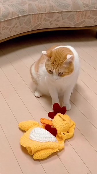 不死鳥フェニックスの魅力