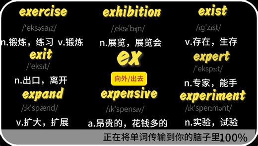 高三生词汇速刷挑战：ex开头系列的单词2