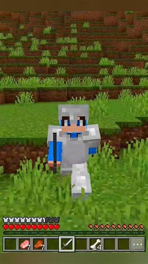 Noob vs Pro vs Hacker in Taming Dog #minecraft #shorts