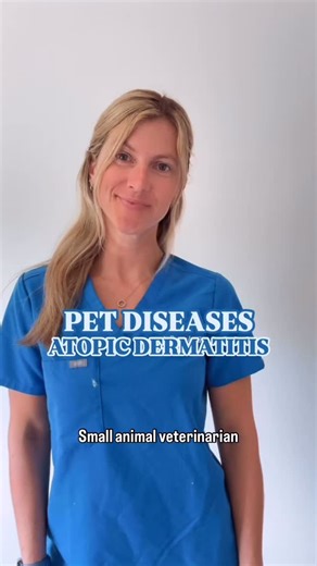 Dr. Anna Schozer | Relief Veterinarian on Instagram: "ITCHY DOG?! 🐶🐾 it might be atopic dermatitis. this common skin condition in dogs is caused by an overreaction to things like pollen, dust mites, or mold—aka stuff they breathe in every day. you’ll usually see: • constant scratching or licking • redness, hair loss, or thickened skin • paw, ear, or rear-end irritation it is more common in goldens, labs, terriers, bulldogs—and often starts between ages 1–3. diagnosis usually involves allergy t
