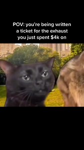 23K views · 482 reactions | why am i like this | Kumho Tire USA | Facebook