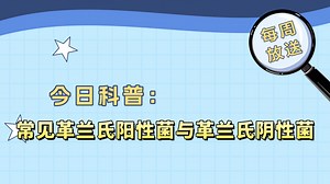 常见革兰氏阳性菌与革兰氏阴性菌