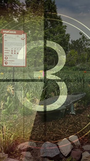 Meet the Creatures of Dinosaur Island: Diplocaulus! The Diplocaulus was a unique ancient creature and one of the first amphibians, meaning it survived in water and on land. It was three feet long and weighed about as much as a cat, helping it soar through the water. A skilled swimmer, experts believe that its boomerang-shaped head helped decrease drag in the water. This small carnivore hunted small fish and aquatic animals in the Carboniferous Era. If the Diplocaulus was alive today, it would've