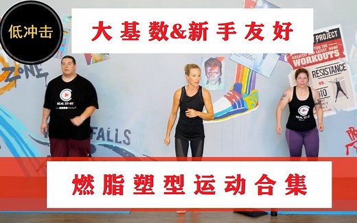 【Body Project】燃脂塑形入门合集（新手友好，低冲击）