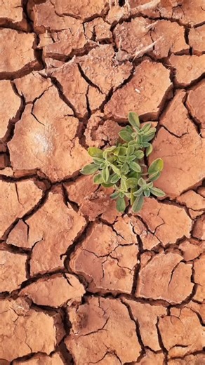 Global warming in agriculture  What it means: Rising temperatures...