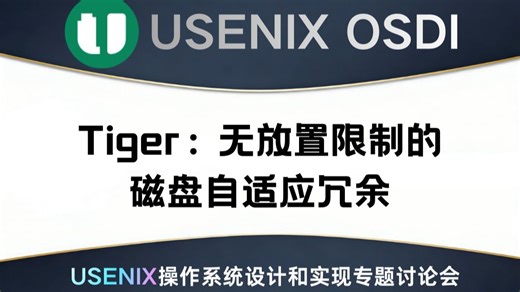 Tiger：无放置限制的磁盘自适应冗余