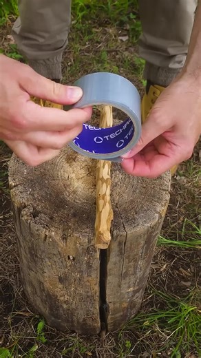 Celebrate Charlie Chaplin: The King of Comedy