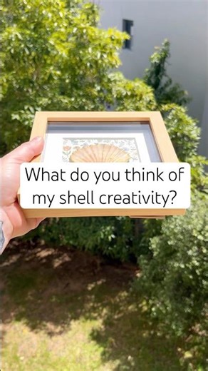 Framed seashell art reveal 🐚 #shorts